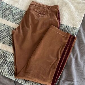 Anthropologie Chino